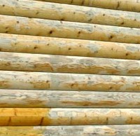 polyurethane on log walls offering no protection